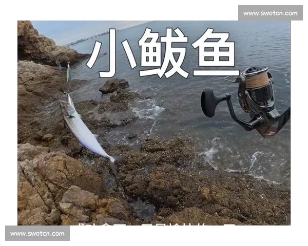 辽宁钓友钓 20 斤大鲅鱼反被咬伤 海洋 隐形杀手 暗藏风险 辽宁钓友钓 20 斤大鲅鱼反被咬伤 海洋 隐形杀手 暗藏风险